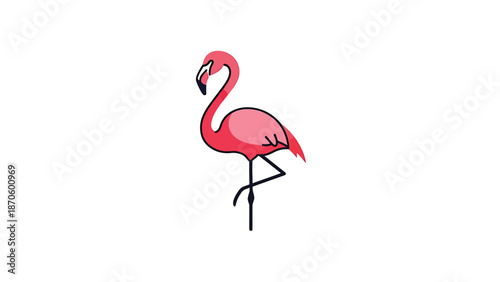 Elegant pink flamingo standing gracefully with its long legs and curved neck.
