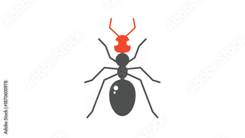 Detailed illustration of an ant with a red head and antennae, simple design.