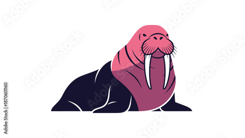 Majestic walrus illustration showcasing impressive tusks and distinctive features on white background.