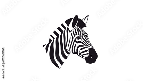 Striking black and white zebra head portrait against a clean white background.