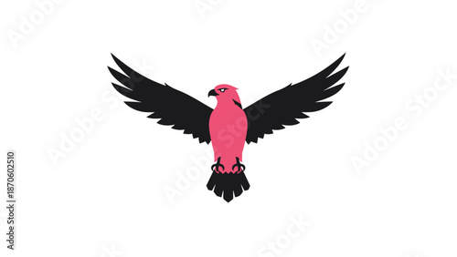 Pink bird with black wings spreading wide against a white background.