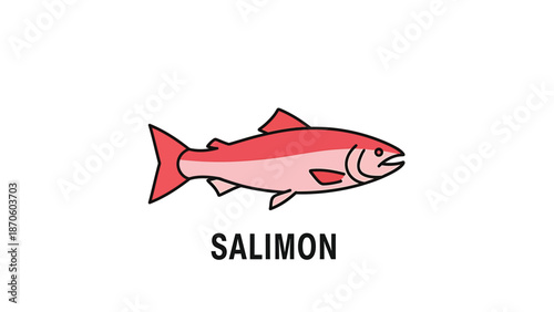Vibrant illustration of a salmon fish, showcasing its color and form, with the word salmon.
