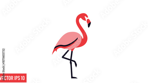 Elegant flamingo standing gracefully on one leg, showcasing vibrant pink plumage.