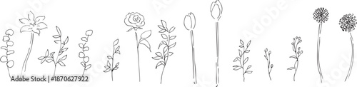 手描きの草木イラスト。植物のベクター背景イラスト。植物フレーム。Hand drawn plant illustration. Botanical vector background illustration. Plant frame.