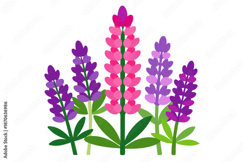 Obraz premium violet flowers isolated on white background