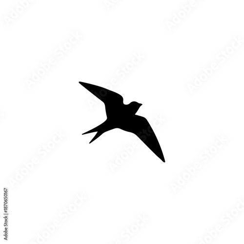 Black silhouette of a flying swallow on a white background with pointed wings and forked tail