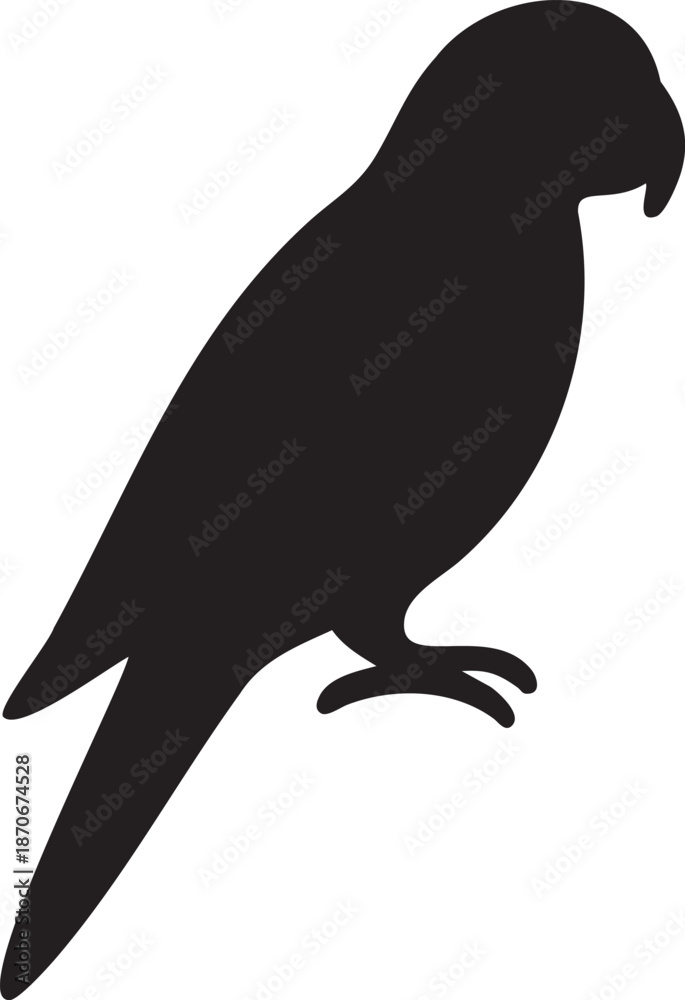 Fototapeta premium Silhouette of a parrot