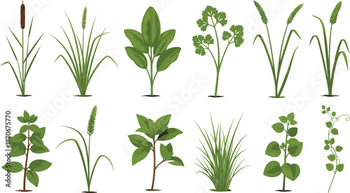 Colorful cocktail drinks vector set with assorted glasses, tropical fruits, and summer party beverage illustrations