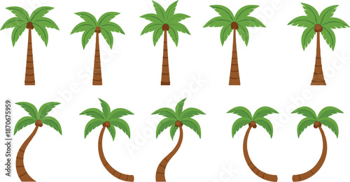 Tropical palm tree vector set with different shapes and styles for summer beach landscape illustrations