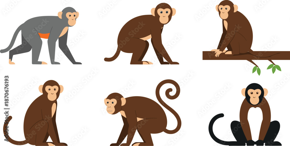 Fototapeta premium Cute cartoon monkey collection featuring various poses, tree sitting, walking, and playful expressions in simple flat illustration style