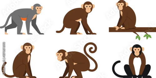 Fototapeta Cute cartoon monkey collection featuring various poses, tree sitting, walking, and playful expressions in simple flat illustration style