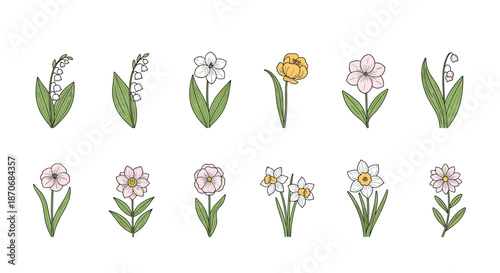 Collection of hand-drawn spring flowers including lily of the valley narcissus and anemone in a charming colorful vintage illustration style.