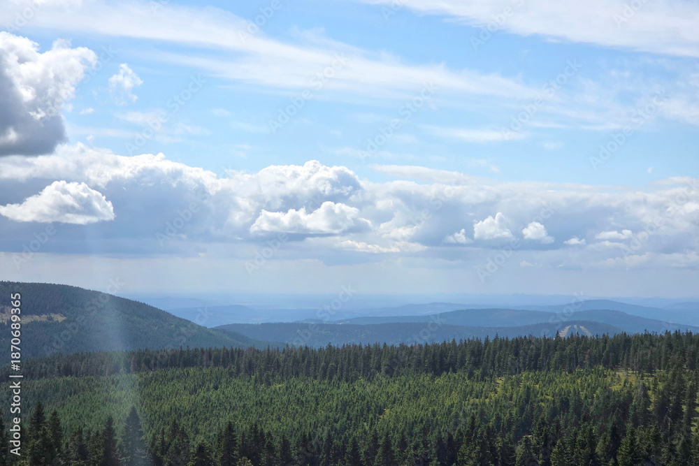 Obraz premium Serene Landscape with Expansive Forest and Majestic Blue Sky for Nature Enthusiasts