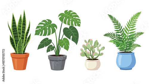 Collection of four distinct potted house plants including a snake plant monstera cactus and fern illustration