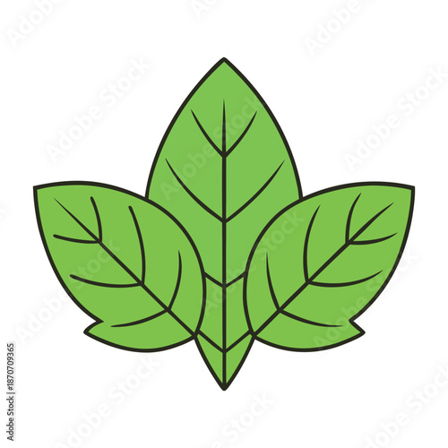 Fresh spring leaves unfold in tender greens, glowing with morning light as new growth whispers renewal, softness, and the quiet joy of nature reborn.
