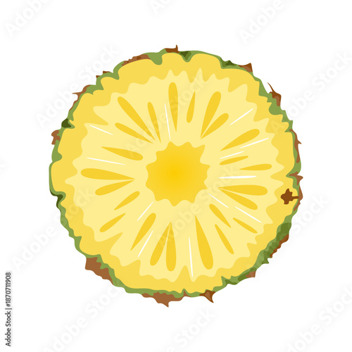 Round slice of juicy pineapple. Simple flat pineapple slice. 