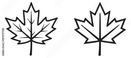 Hand drawn line art maple leaf set featuring two stylized outline designs for national emblems and autumn themes