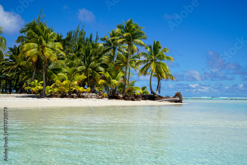 Billede på lærred Lush palm trees on a small tropical island surrounded by shallow crystal clear lagoon water