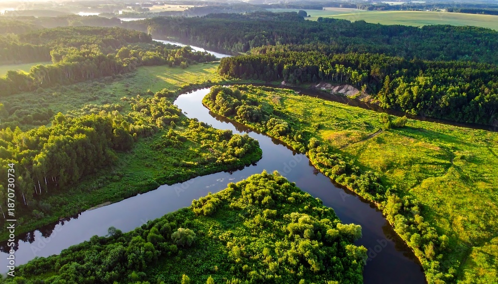 Obraz premium Aerial View of a Winding River Through Lush Green Landscape.