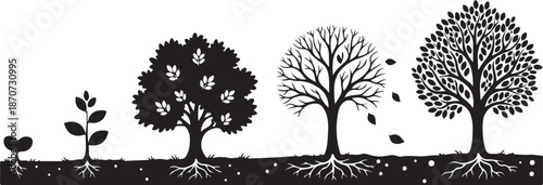 Tree growth stages from seedling to full bloom