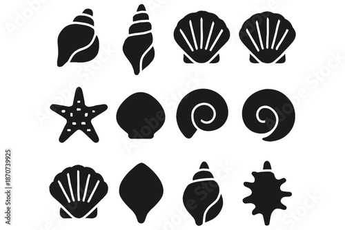 set of Sea Shells,
Sea Shells Illustration Set, Hand-Drawn Ocean Elements