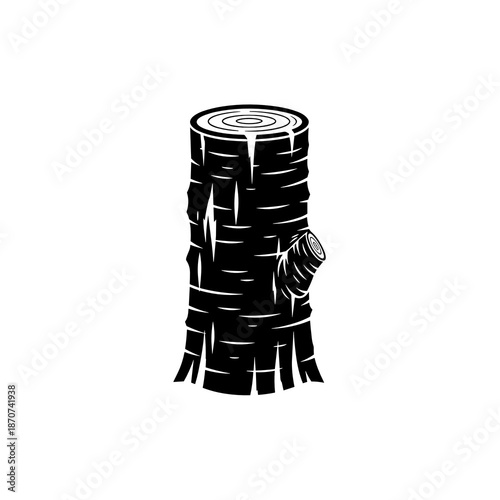 Silhouette of freshly pruned tree trunk with branch stub for cherry tree care visuals