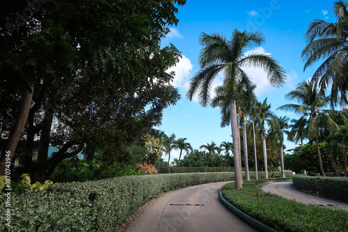 Residential area alleys with palm trees, George Town, Grand Cayman