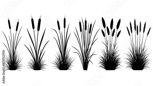 Silhouettes of cattails and grass plants against a white background