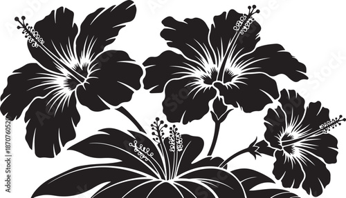 Black and White Hibiscus Flower Silhouette Graphic Design