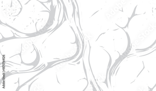 Abstract light grey organic flowing lines on a white background creating a subtle textured pattern.