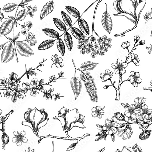 Blooming trees border design. Flowering branches hand drawn vector illustration. Vintage spring background in sketch style. NOT AI generated