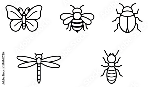 Hand drawn line art insect icon set featuring a butterfly, bee, ladybug, dragonfly, and termite for nature illustrations