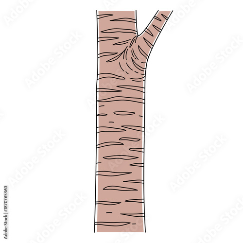 Minimal cherry tree trunk vector in brown for cherry tree pruning guides and gardening infographics