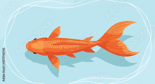 Top view of a beautiful orange koi fish or goldfish swimming in light blue water with white circular ripples.