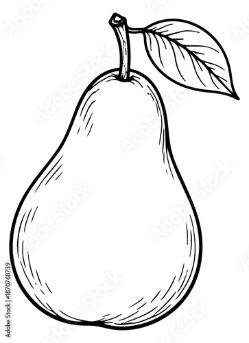 Hand drawn line art illustration of a pear depicting a whole fruit with a stem and leaf for food and nutrition themes