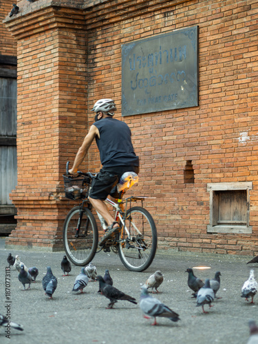 Cyclist passing Tha Phae Gate surrounded by pigeons in Chiang Mai city