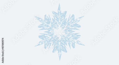 Beautiful intricate snowflake with detailed crystalline patterns on a light background