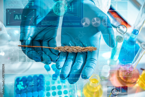 Bild auf Leinwand Close-up of gloved scientist hands holding a wheat ear in a laboratory with AI holograms and digital data overlays