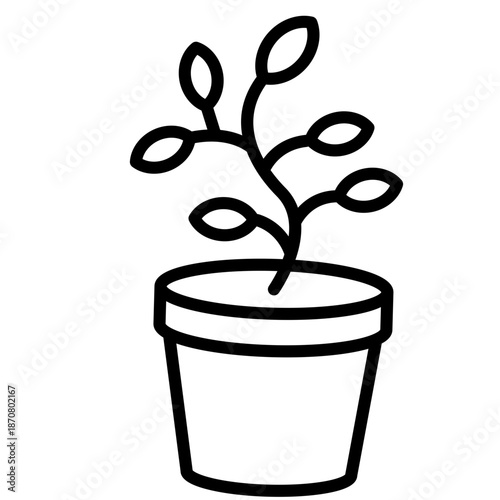 Hand drawn potted plant illustration. Home gardening. Nature care