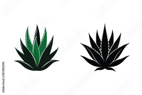 Aloe Vera Plant Silhouette Icon Vector Illustration Medicinal Succulent Plant Design