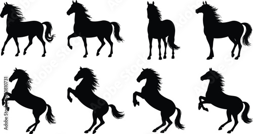 Horse silhouette collection, running rearing horses, wild stallion poses, black animal icons, isolated white background vector illustration set