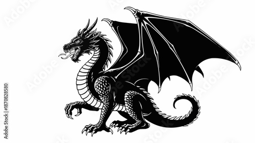 black and white dragon