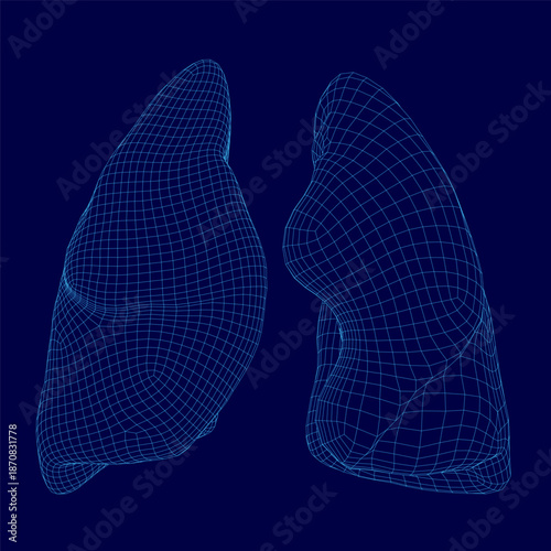 A detailed 3D wireframe model of human lungs isolated on a solid blue background, showcasing intricate anatomical structure and bronchial pathways.