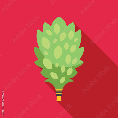 Birch venik broom for traditional russian bathhouse rituals on red background