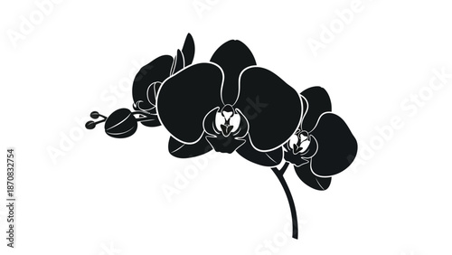 Elegant Black and White Silhouette of Orchid Flowers Design for Botanical Art or Decor