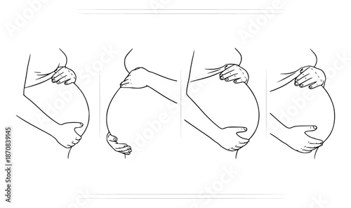 Detailed line art sequence illustrating the stages and changes of a pregnant woman's growing belly, emphasizing maternal care and the beautiful journey of impending motherhood