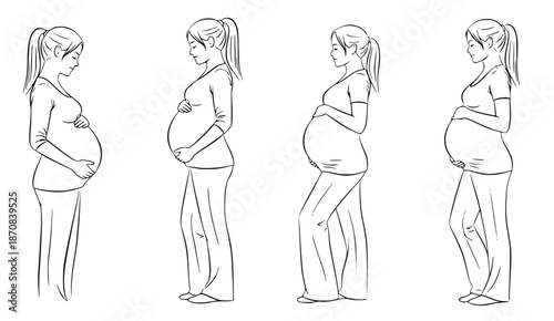 Illustration showing the progression of pregnancy through different stages of a woman's belly size