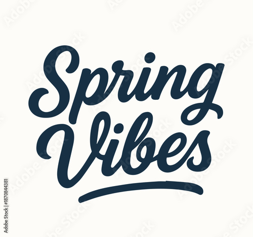 Handwritten Spring Vibes lettering with decorative calligraphy elements, perfect for seasonal greeting cards, posters, and digital designs. Elegant black script typography capturing the freshness and