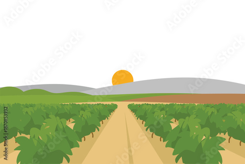 Rows of cultivated crops stretch toward the distant hills at.