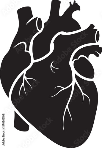 Silhouette of a human heart with detailed blood vessels